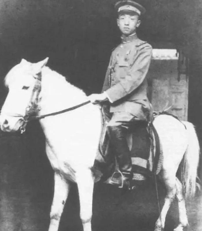 董竹君传奇一生19,董竹君传奇一生46