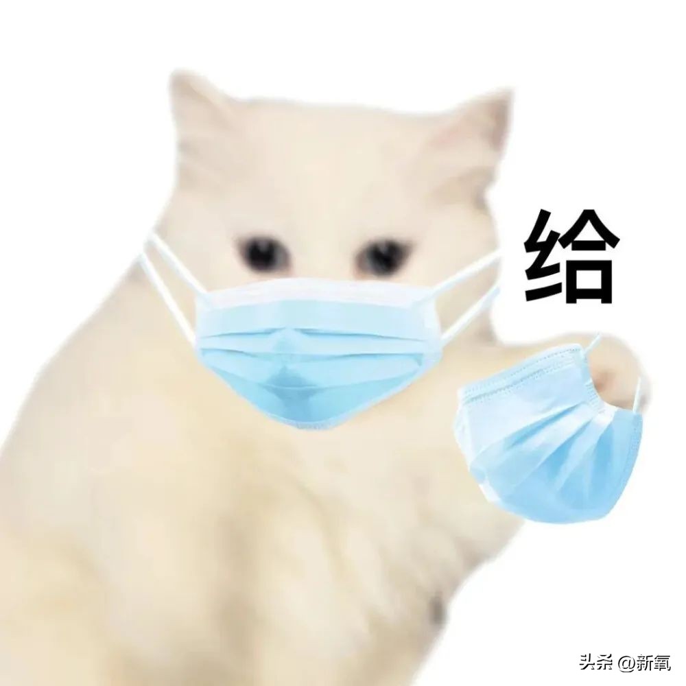 大长今冻龄女神李英爱,韩国李英爱年轻时图片