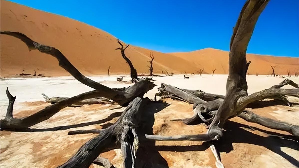 你一定去过许多迷人或神奇的地方,中国境内最值得去的三个地方
