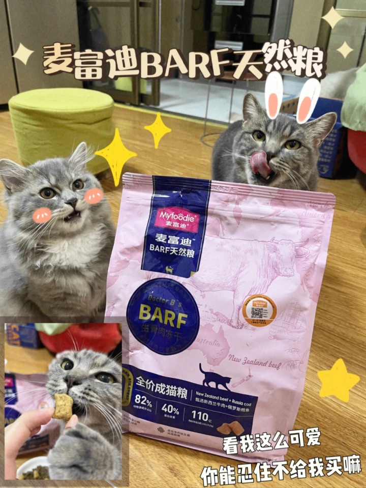 猫咪好好的为什么突然应激,猫咪好好的为什么会突然大喘气