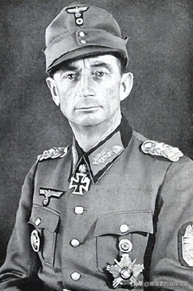 霍尔姆盾章二战德国,二战德国军奖章