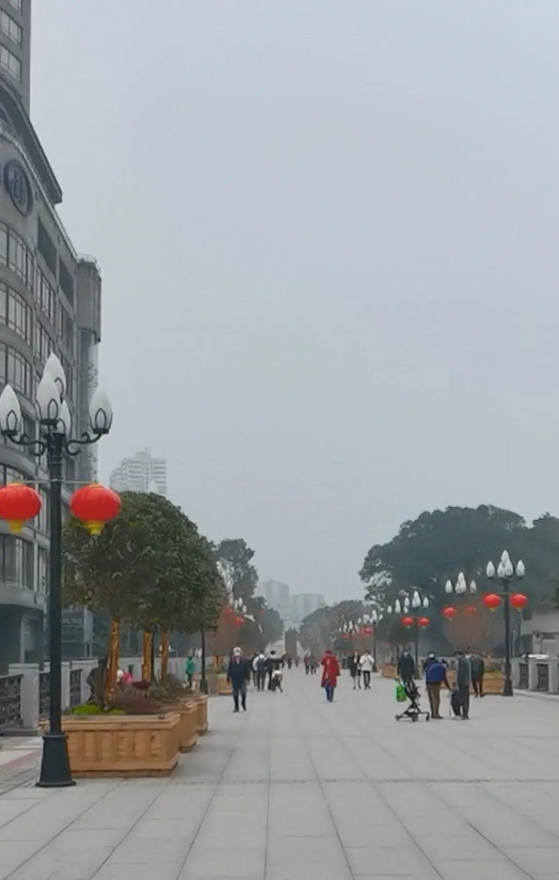 春游开拓眼界,春游樱花广场图片