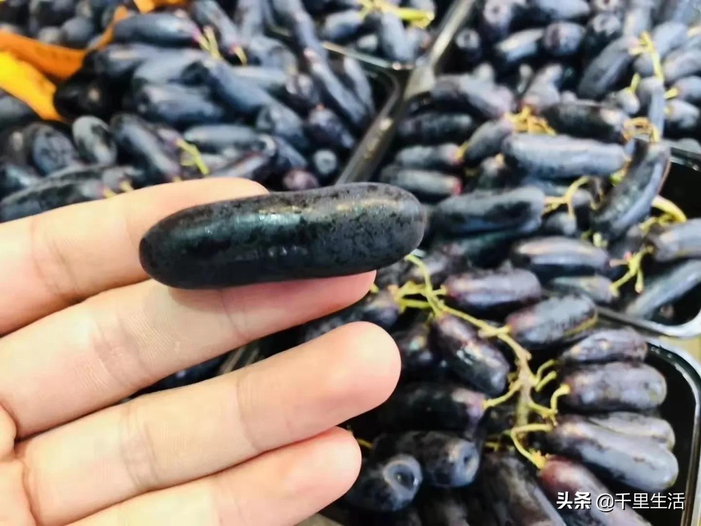 金手指葡萄提子,金手指蓝宝石葡萄无籽提子