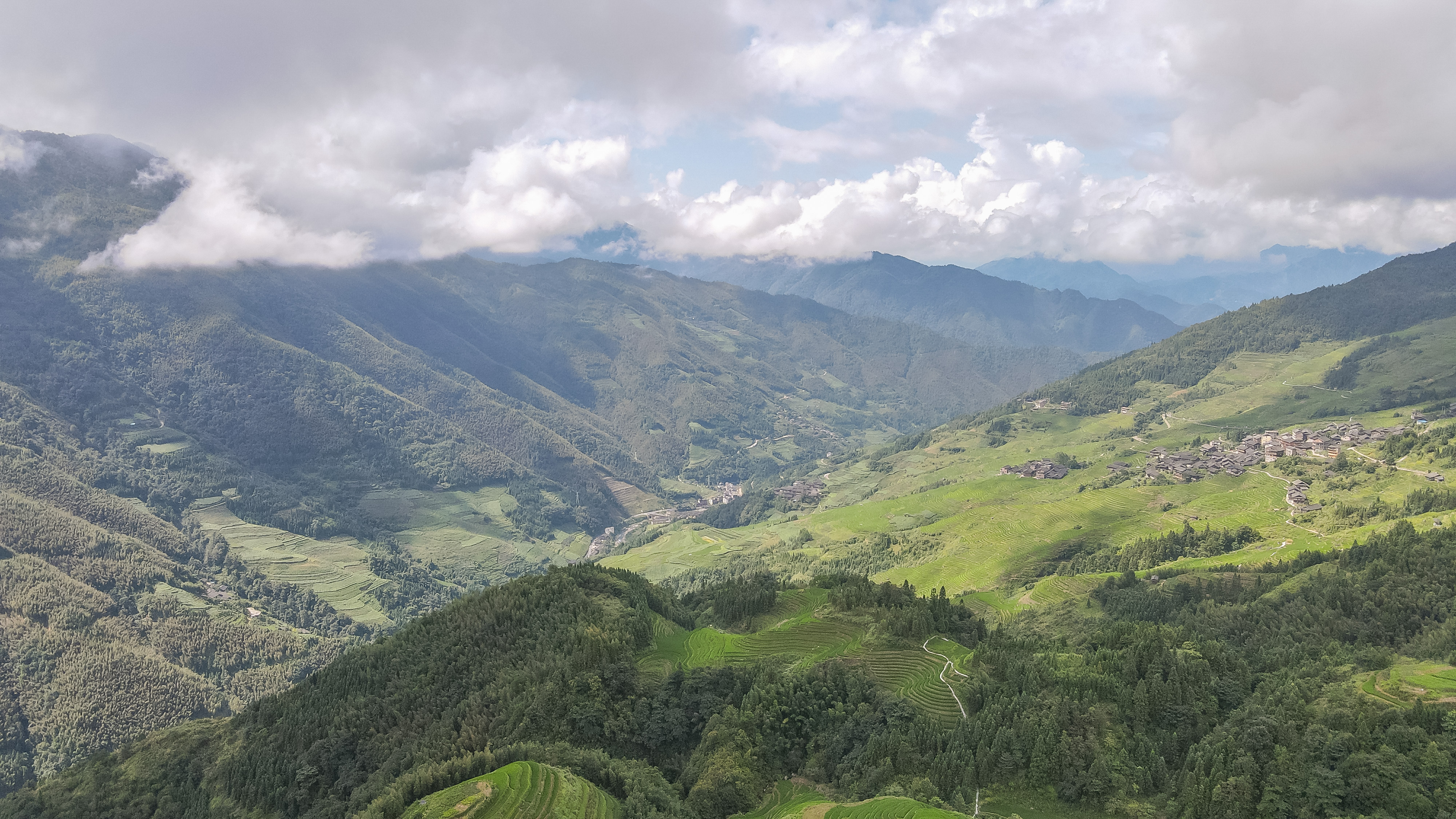 龙脊水稻梯田图片,龙脊水稻