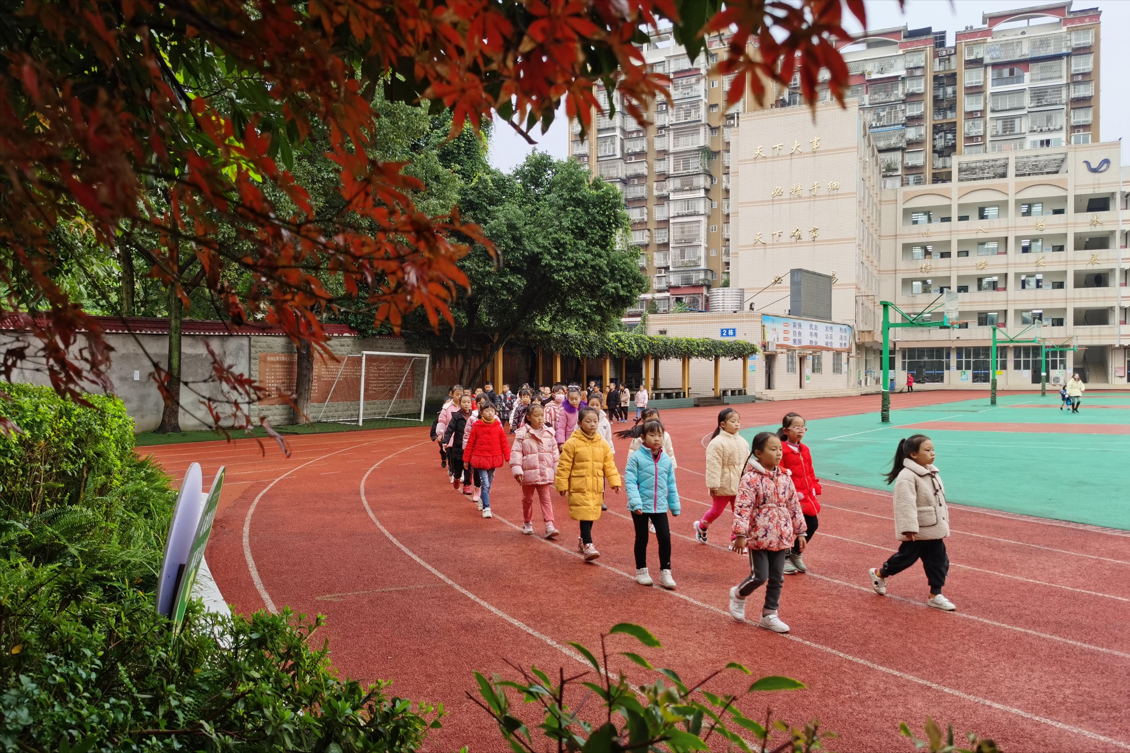 蒲公英中队目标及口号,蒲公英中队班牌