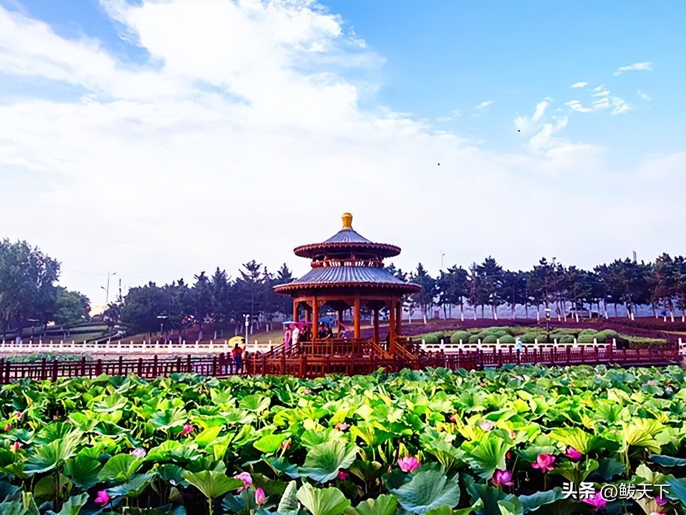 营口鲅鱼圈国际马拉松赛,鲅鱼圈马博会是哪天