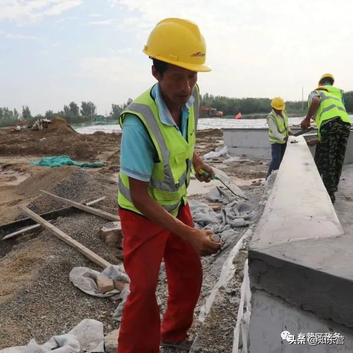 东营泮水公园火爆,东营泮水公园有植物吗