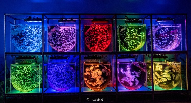 福州永泰，一个低调但很迷人的地方，好玩有故事值得一游