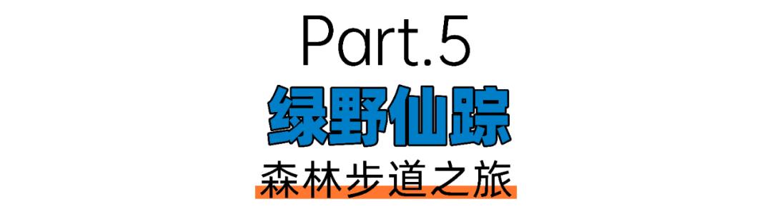 四川旅游攻略56人团,四川旅游4天3晚旅游攻略请收藏