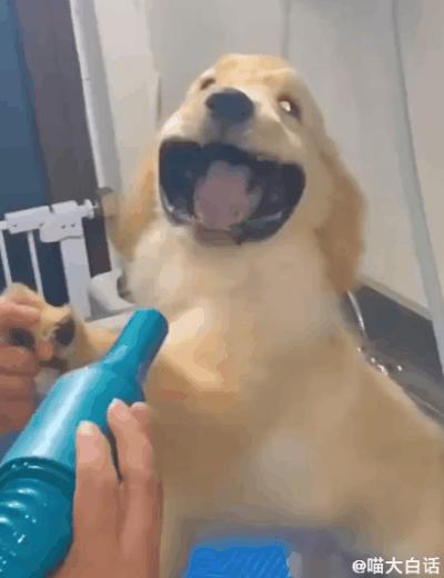 第一次和男票接吻,和男朋友接吻高甜时刻