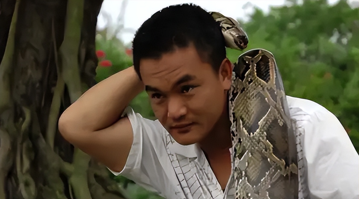 96年海南巨蟒,96年海南巨蟒事件真实情况