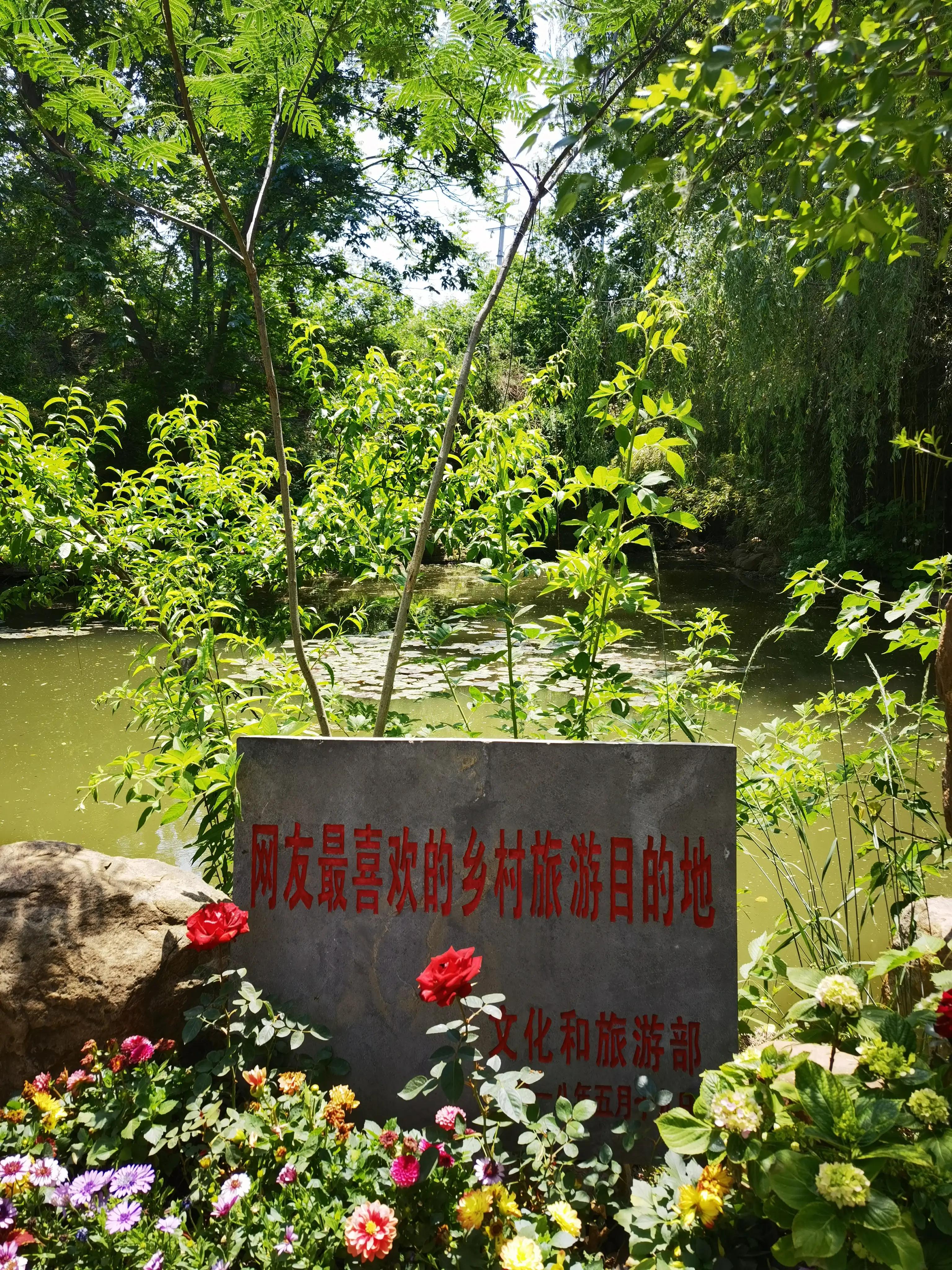 山东自驾游竹林小镇,五一自驾游推荐洞林湖