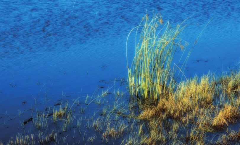 摄影的黄金分割构图法,摄影横向构图和纵向构图的特点