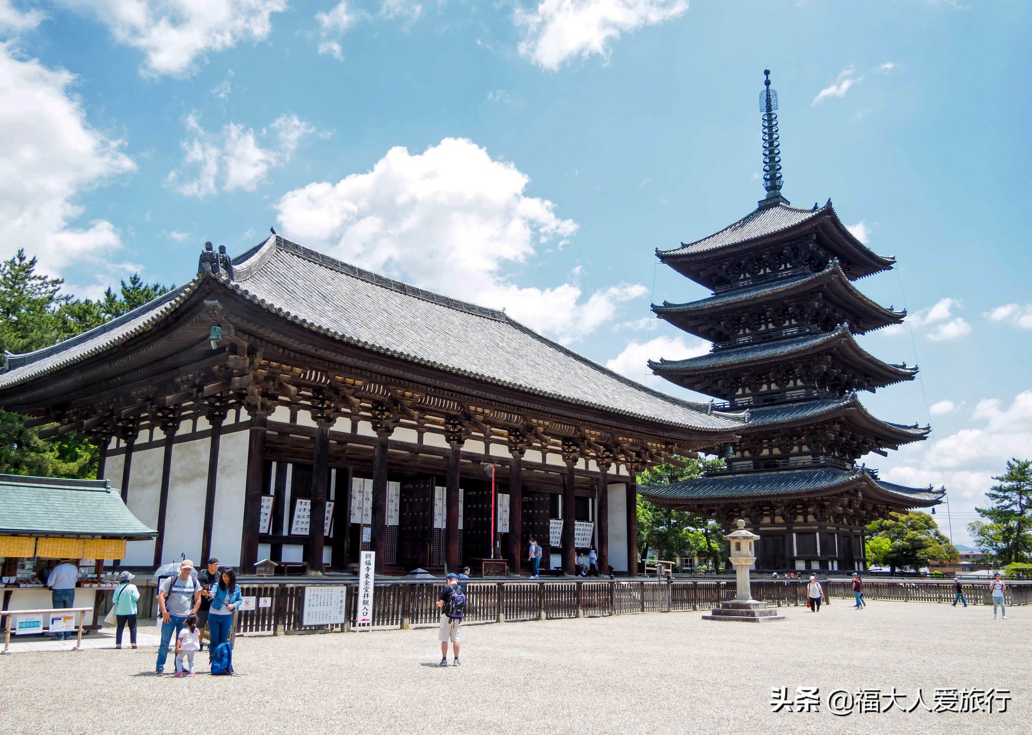 奈良看小鹿片段,奈良看小鹿和樱花