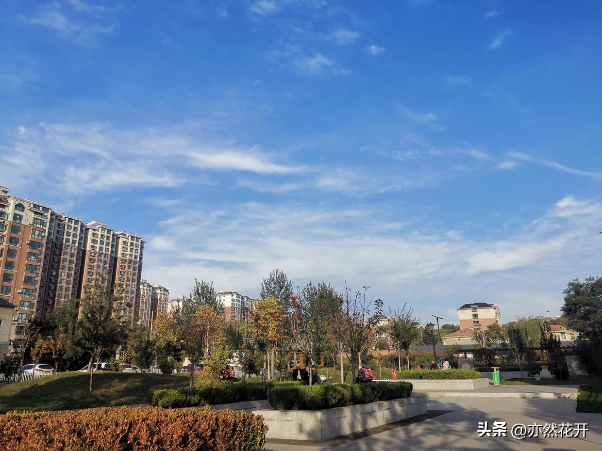 职场申请书的正确格式,职场必备辞职申请报告写作指南