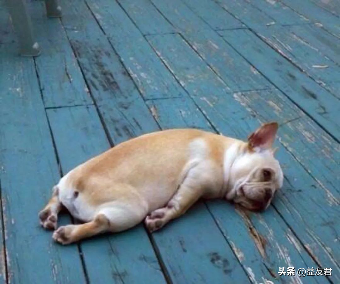 总是感觉很累不想动是什么原因,总是觉得很累没精神啥都不想做