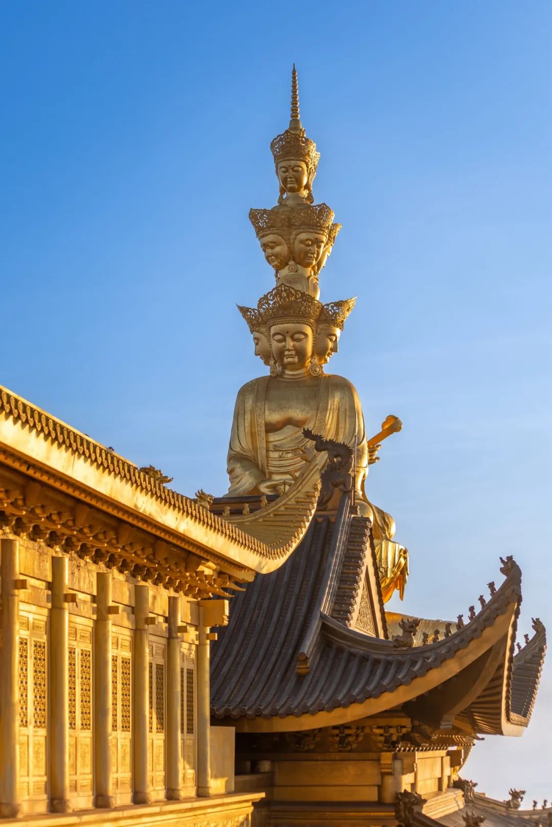 不上峨眉山自驾一日游最佳攻略,峨眉山全程不用步行攻略