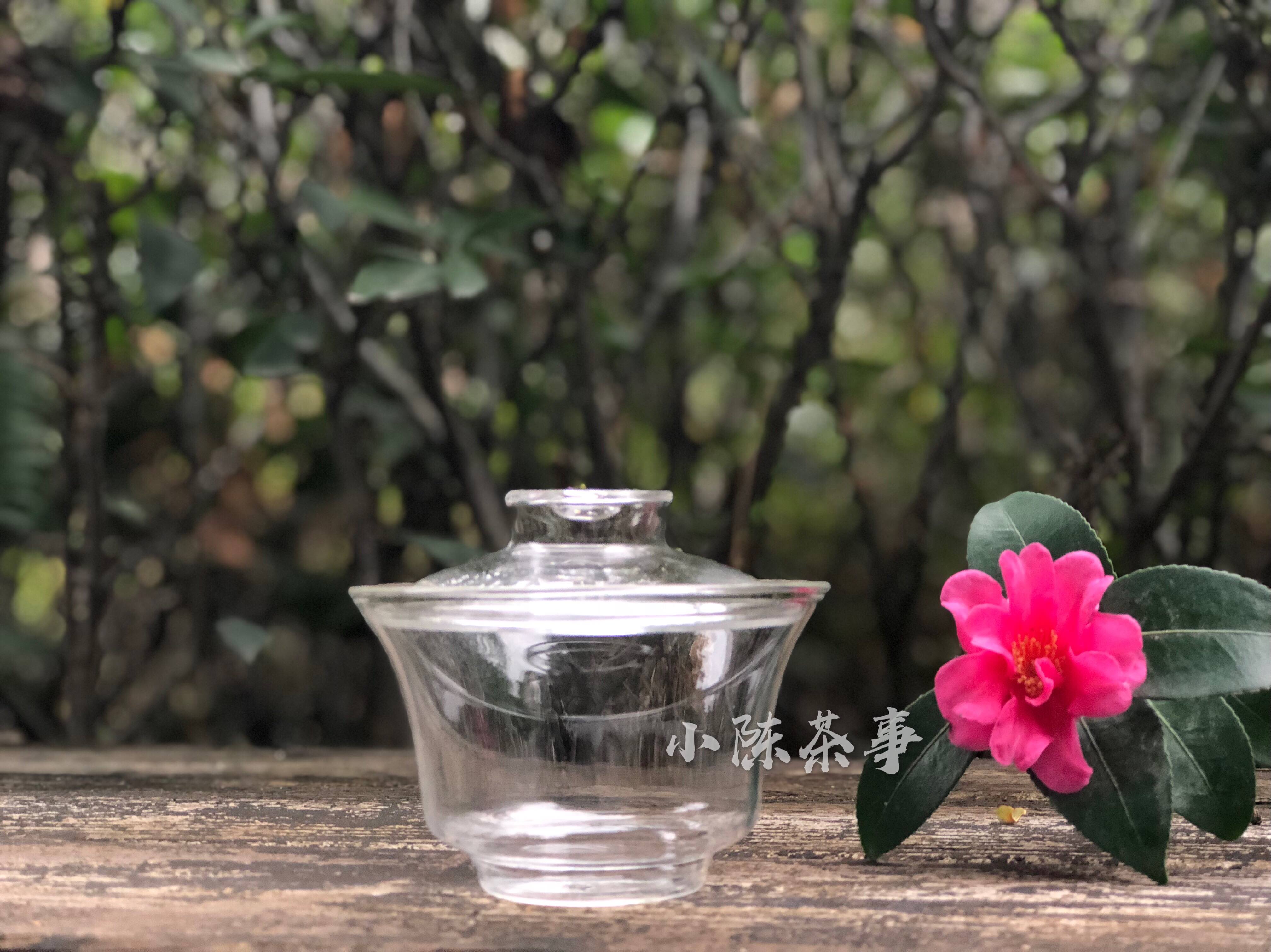 这四种茶具都不错,新手买茶具推荐哪种茶具好