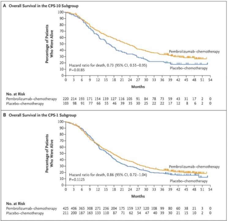 姚贝娜化疗8次为什么会转移,姚贝娜有尝试过免疫疗法吗
