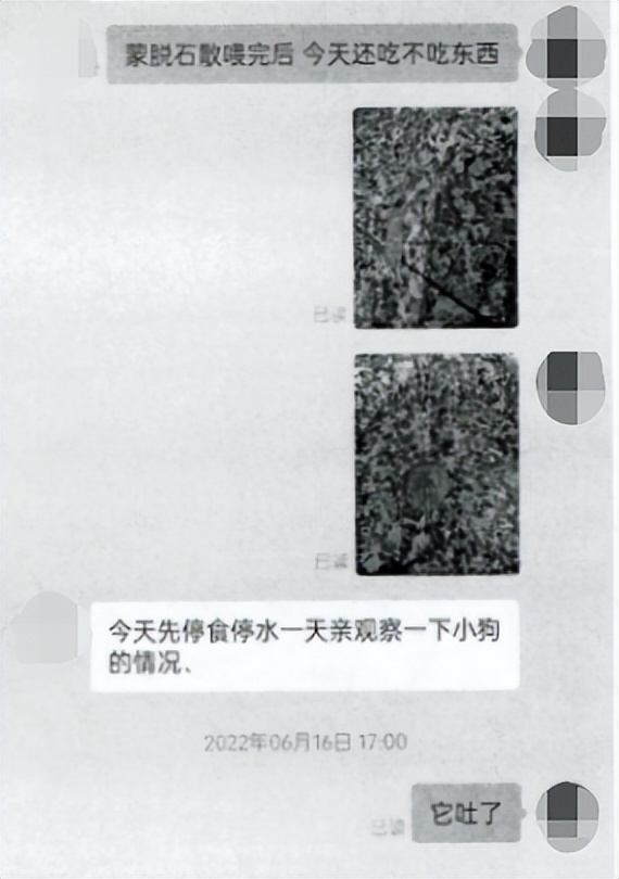 网购爱宠竟为“重病狗”，商家需不需要承担医疗费？