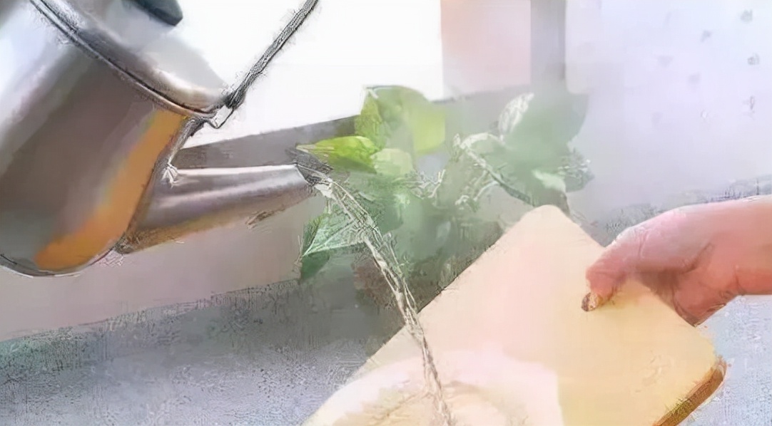 砧板发霉了用什么办法能洗掉,砧板发霉可以开水泡吗