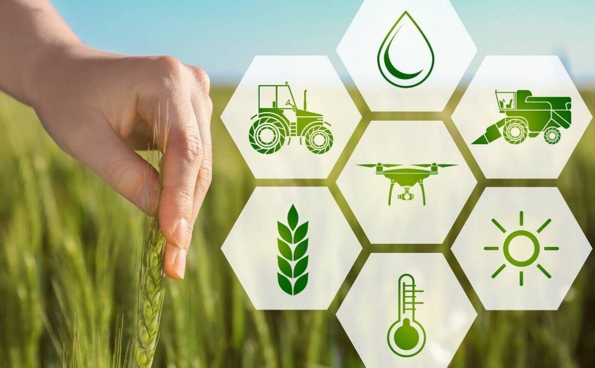 如何利用互联网重塑农业竞争优势,互联网对农业经济发展的影响