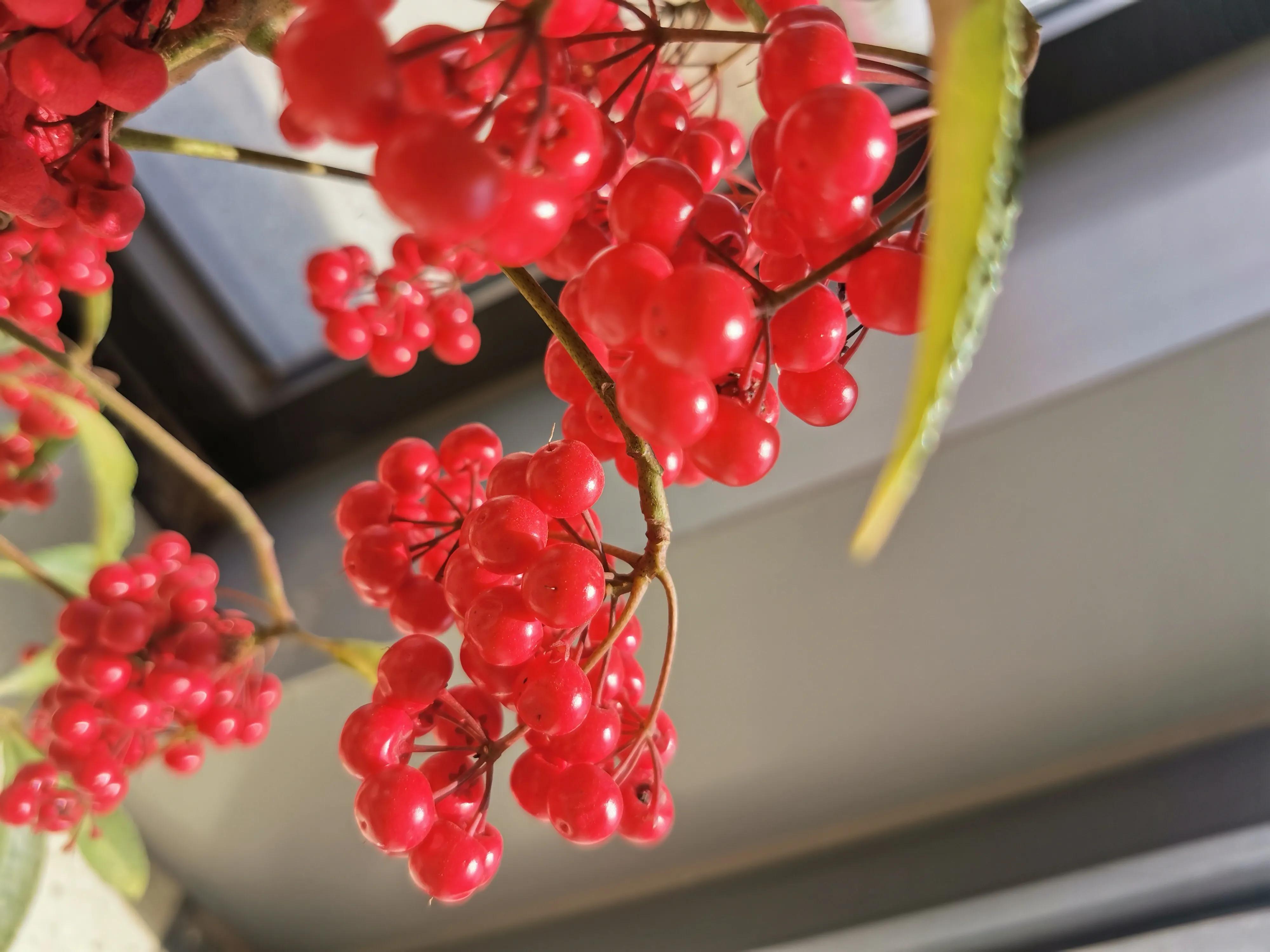 辽宁盘锦化工厂爆炸事故警示片,辽宁盘锦化工厂爆炸事故等级