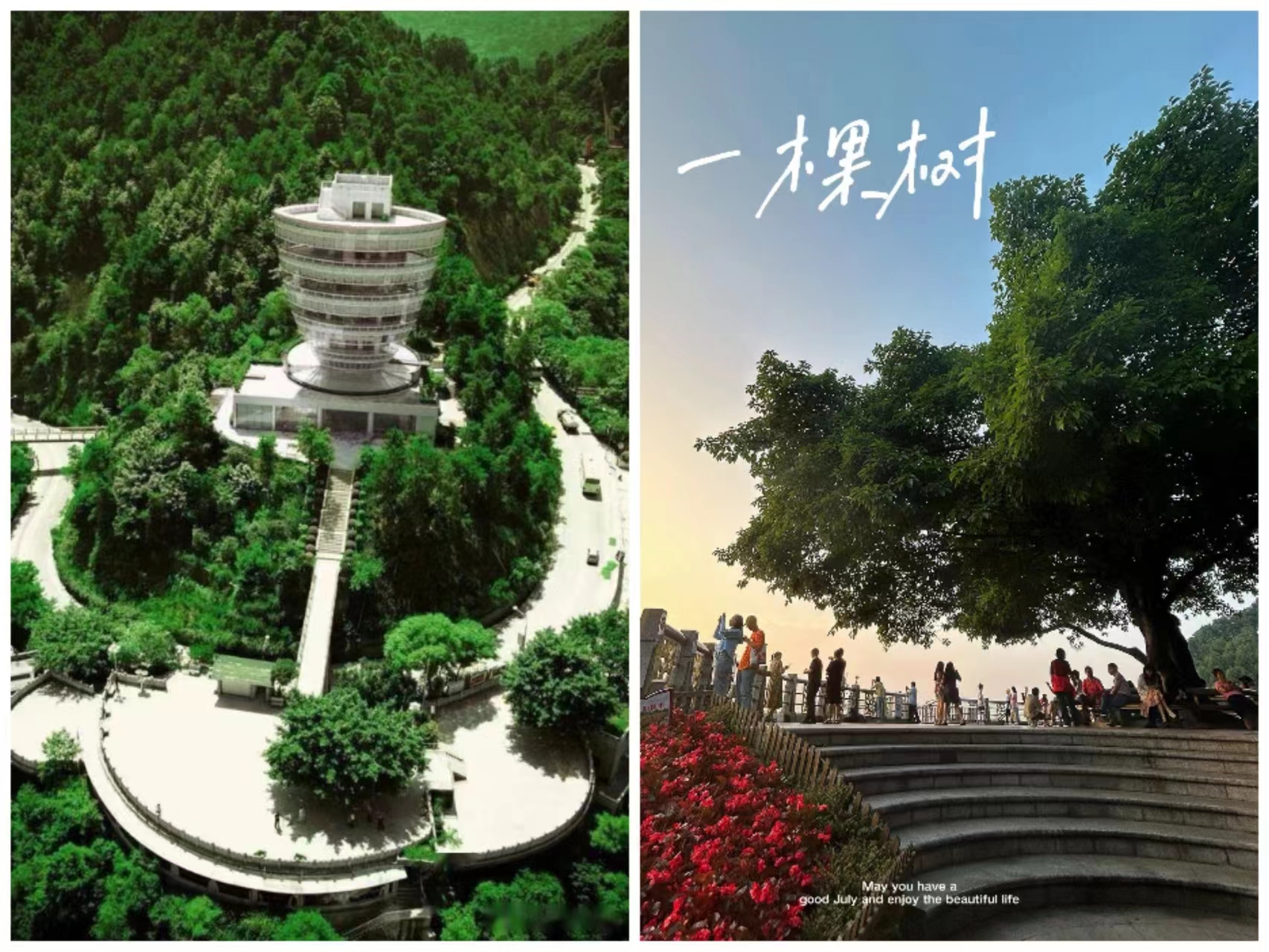 重庆仙女山景点一日游攻略,春节重庆一日游必去景点