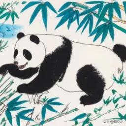 收集关于熊猫的10个信息,关于熊猫的科普说明