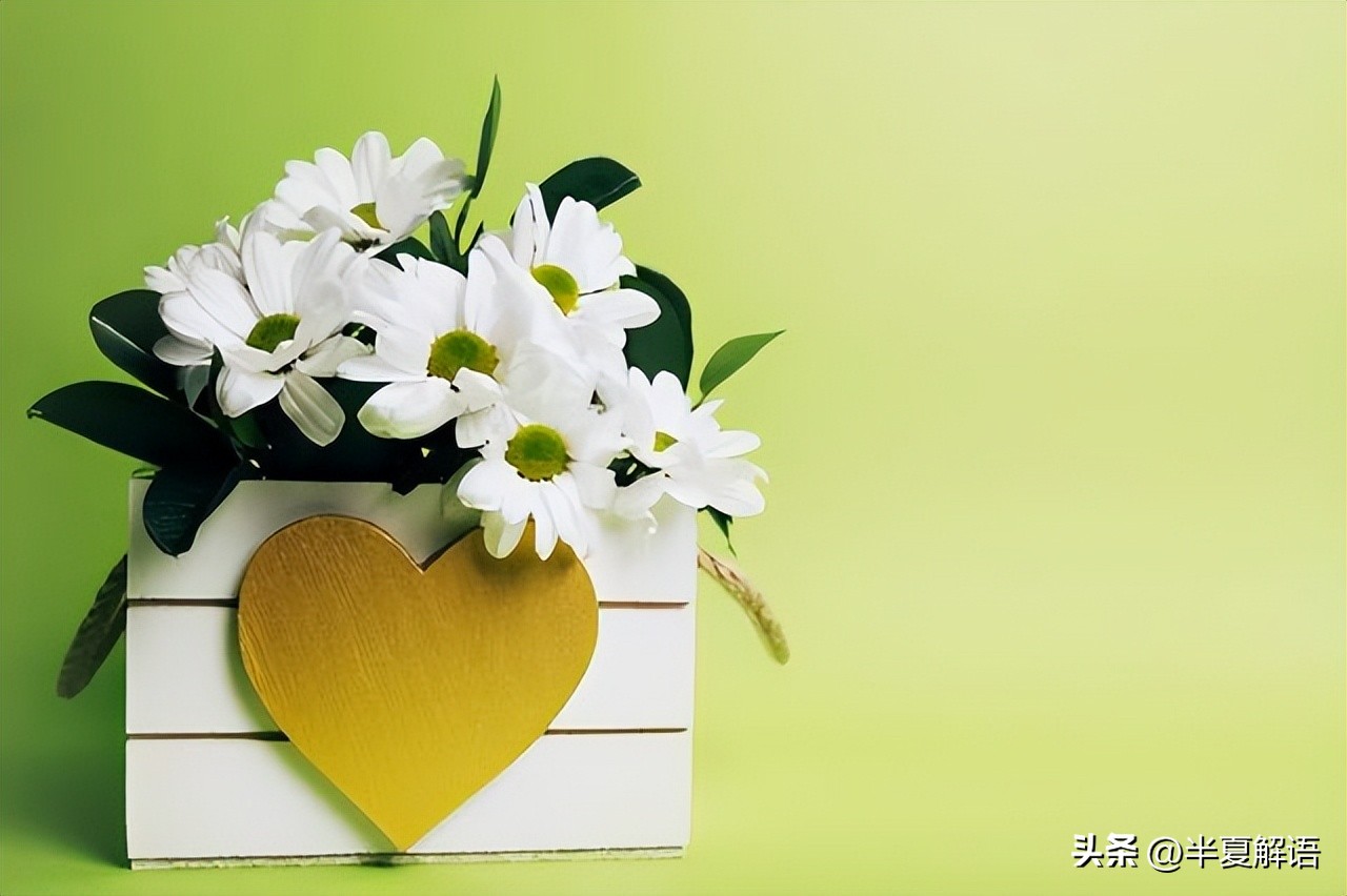 婆婆和小姑子照顾坐月子媳妇下集,婆婆生病3个女儿轮流伺候