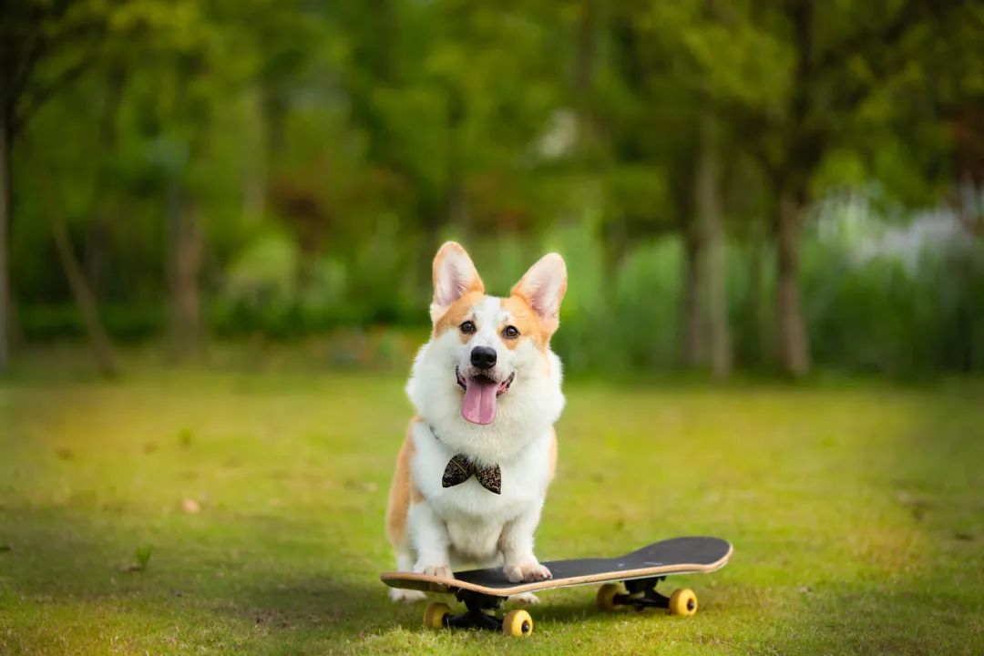 喝酒解除烦恼的段子,15个幽默段子哈哈一笑烦恼全消