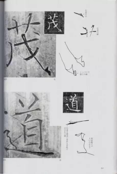 宸ョ瑪鐢绘潹鏅箟鐢诲唽,鏉滈箖鏉ㄦ櫘涔夊畬鏁寸増