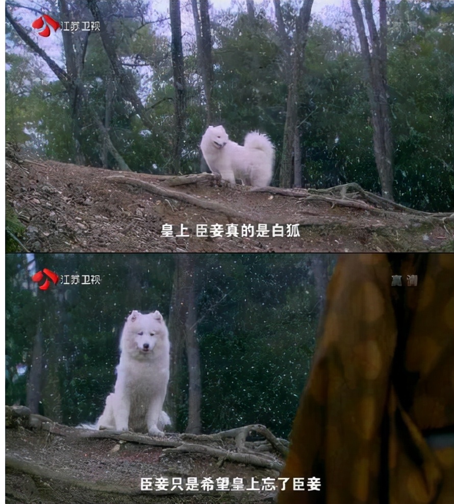 一个比一个廉价，辱智的五毛特效，但凡上点心都做不出这种东西