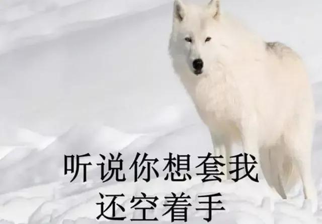 空手套白狼的赚钱路子有哪些,合法空手套白狼的赚钱方法大全