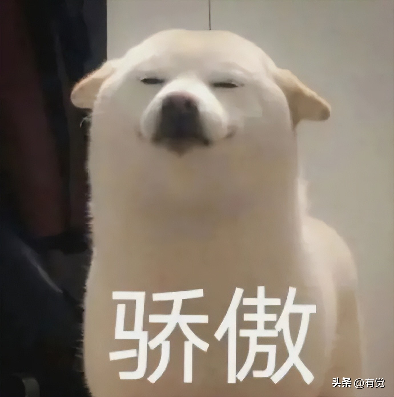 睡眠专科中最常规的物理治疗?竟是用电来...