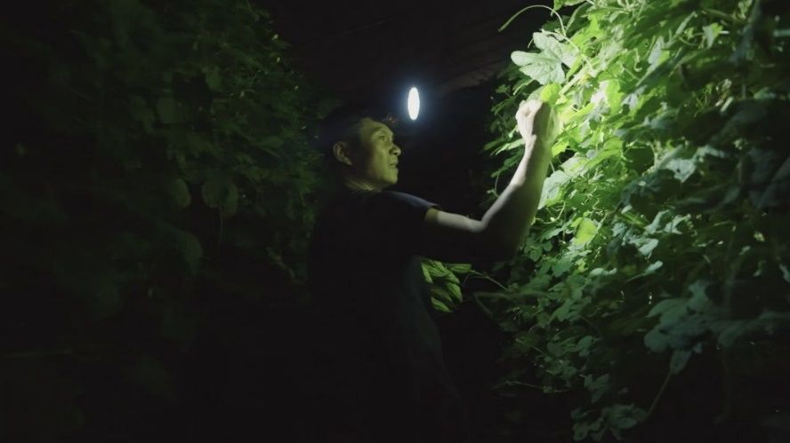 乡村振兴电影或纪录片,央视首部乡村振兴电影