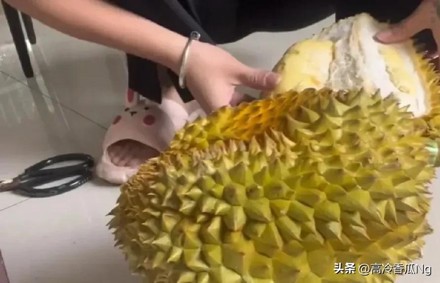 辛巴直播间卖榴莲完整视频,辛巴直播卖榴莲7斤