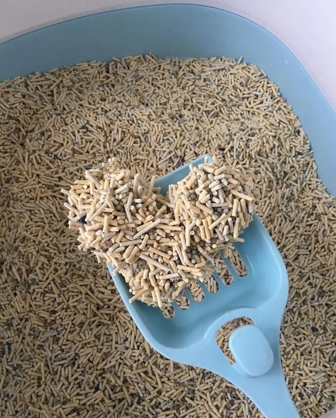 怎么挑选猫砂最好用,猫砂应该怎么选择