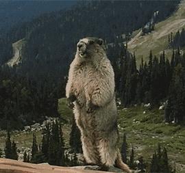 心梗生气容易猝死,心梗猝死跟心情生气激动有关系吗