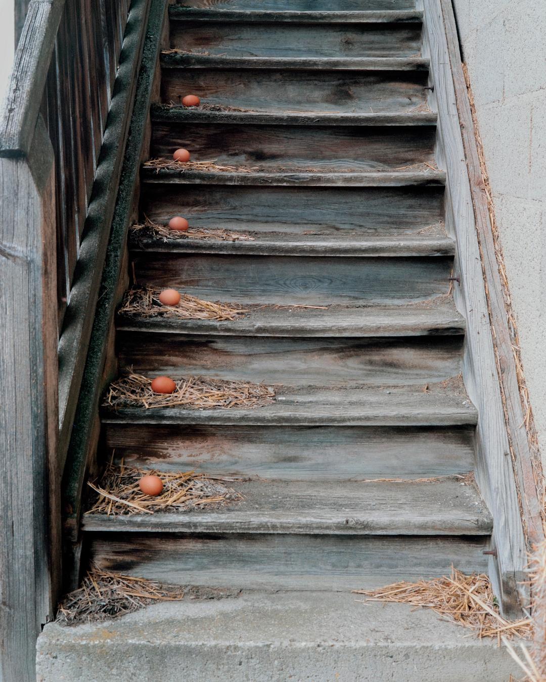 2022索尼摄影大赛征稿,2022索尼世界摄影大赛