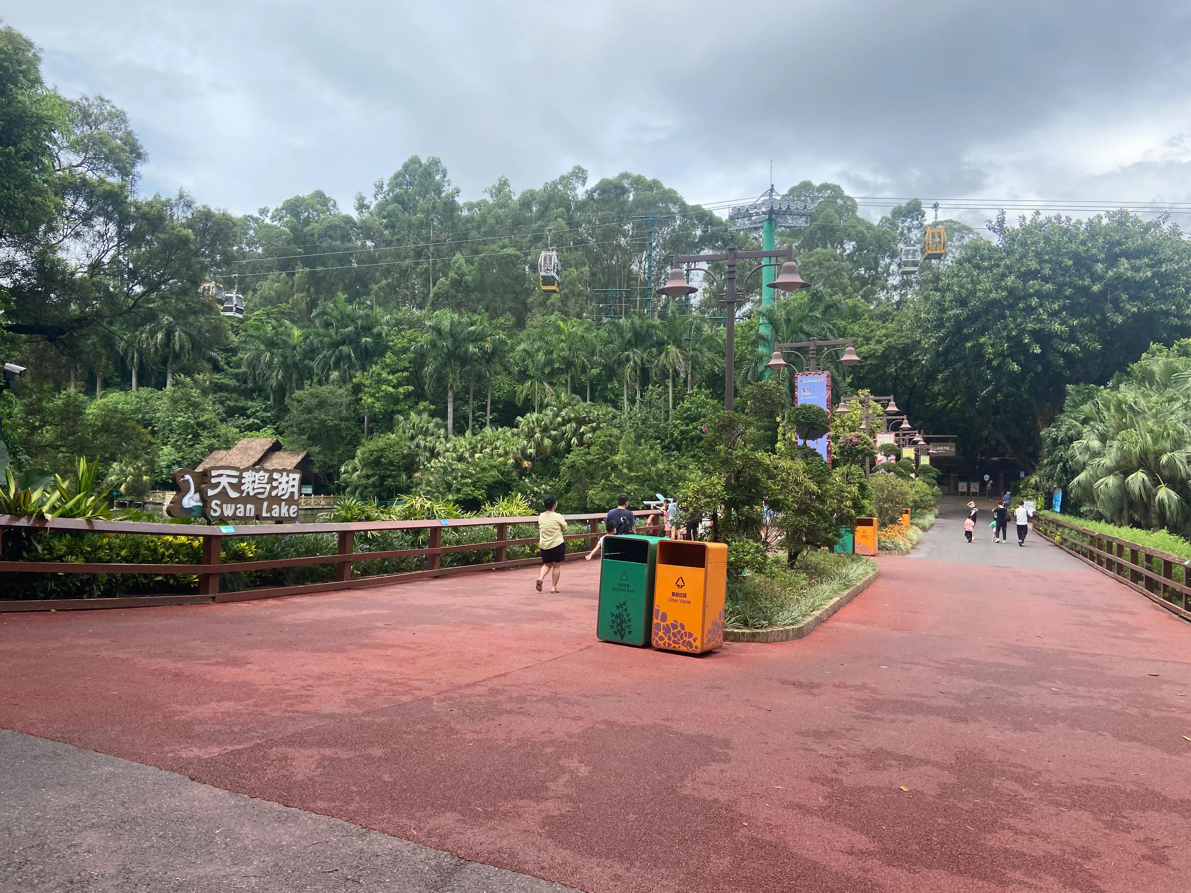 广州长隆野生动物园保姆级攻略,佛山去广州长隆野生动物园攻略