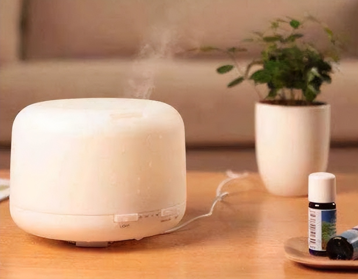 狗狗能不能吃夏威夷果,狗狗吃了夏威夷果能自愈吗