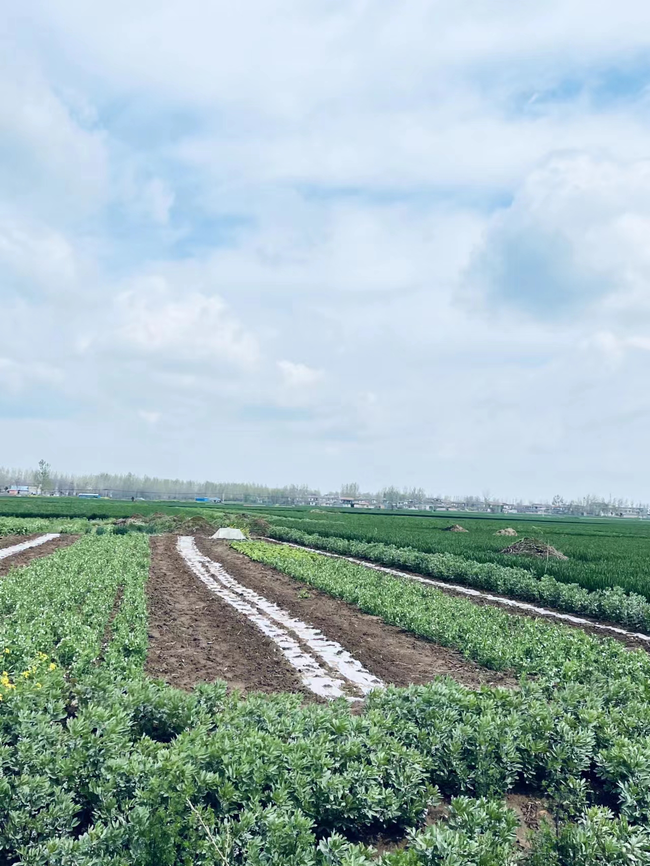 抖音店如何上架商品教程,抖音小店怎么上架自己商品教程