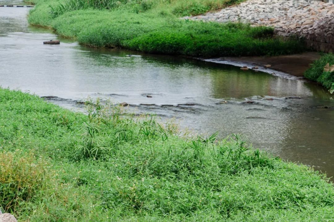 十大风景最美的湖泊排行榜,深圳风景美丽的湖泊