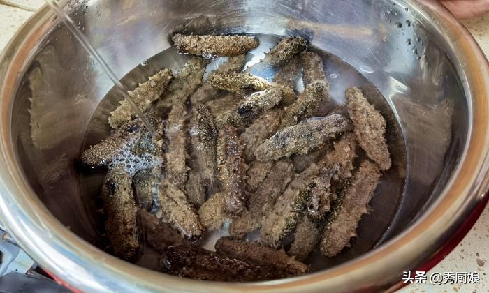 海参泡发的正确方法粤语,冰冻的海参需要用水泡么