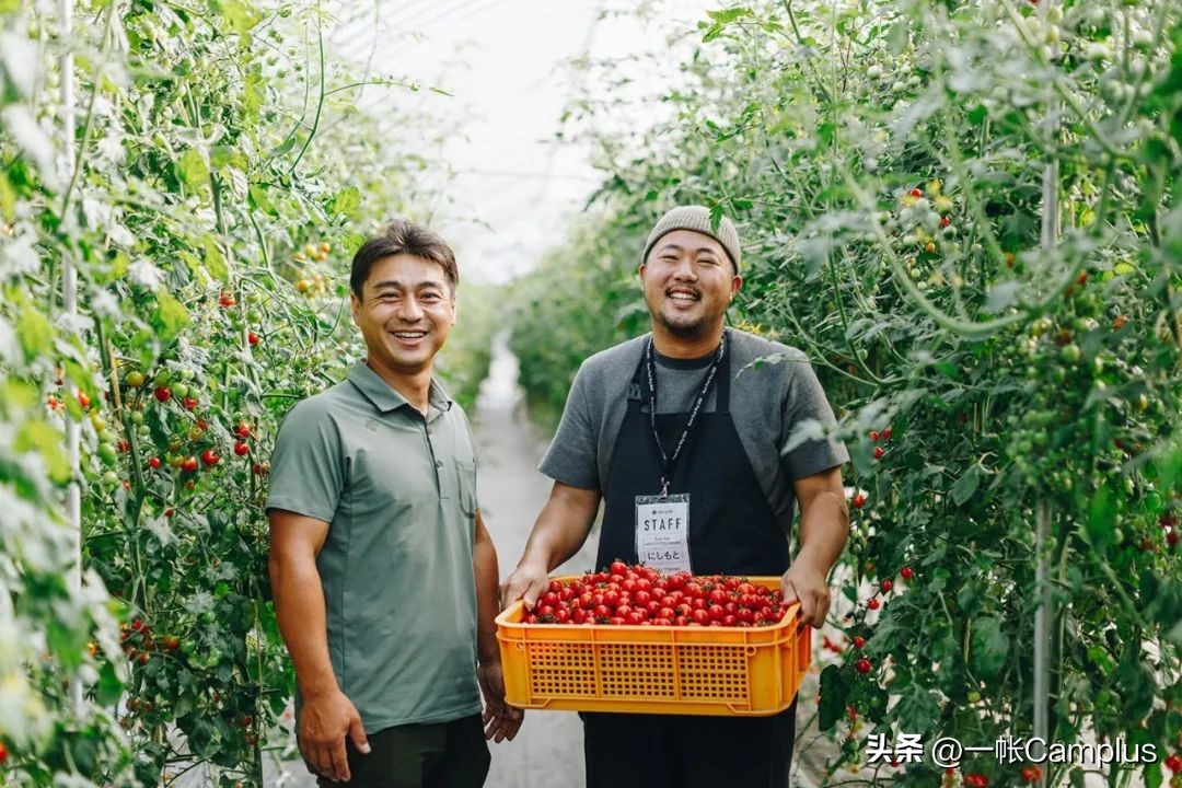 snowpeak发展史,snowpeak上海