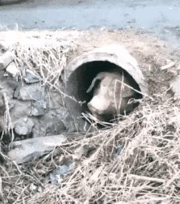 一哥们在殡仪馆守灵，闲着无聊，半夜用手机搜附近的人