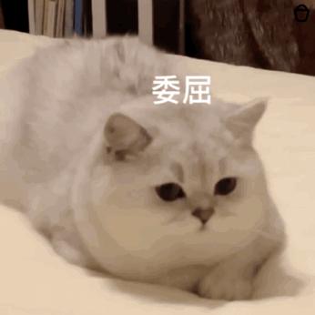 沙雕搞笑表情包头像,沙雕搞笑表情包图片静图