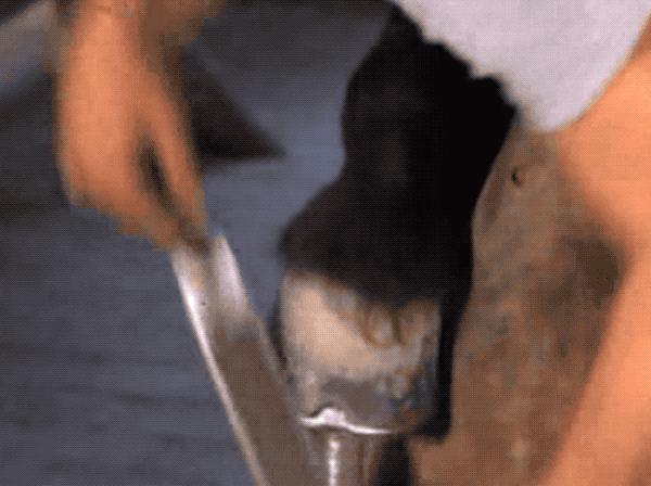 马为什么要钉马蹄铁,给马钉马蹄铁的视频