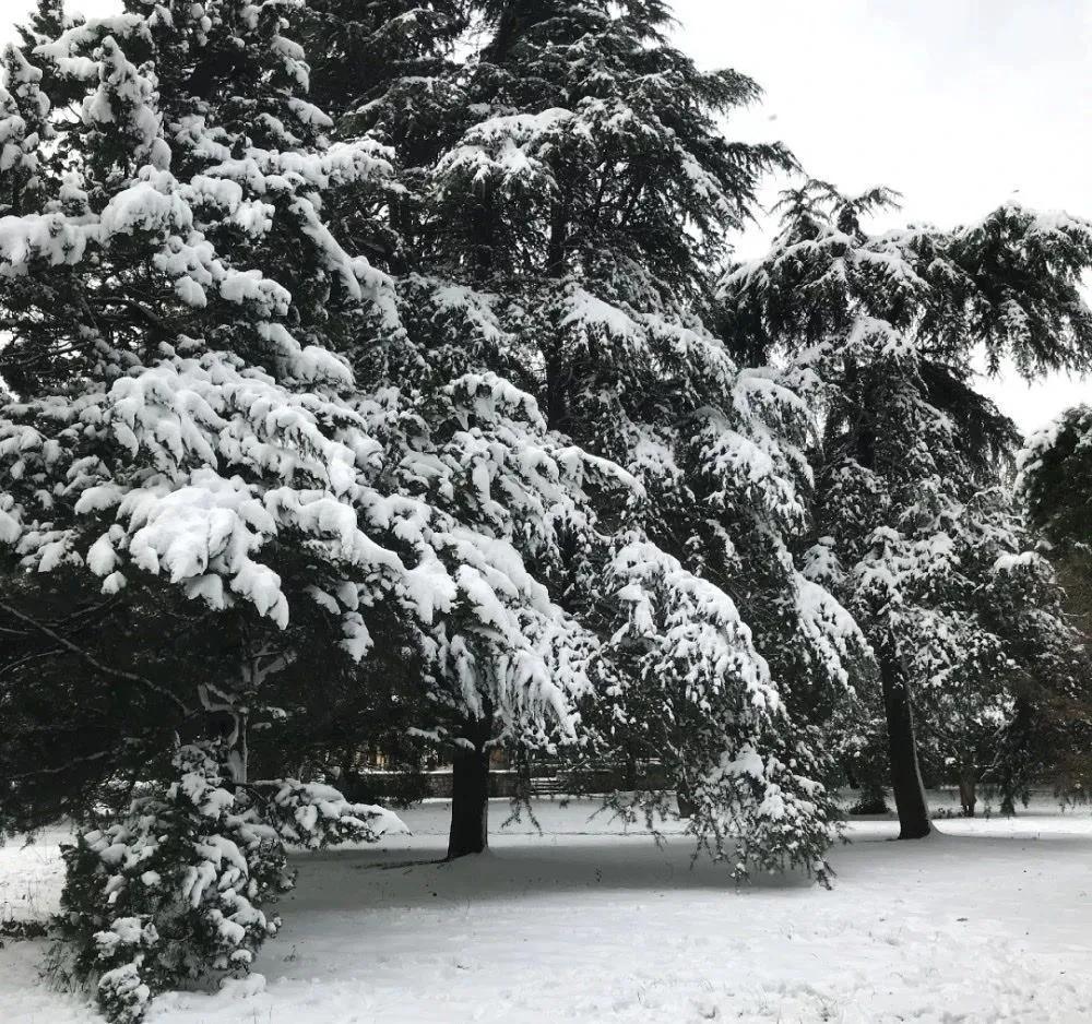 微信背景图纯图片,微信背景图图片高质量